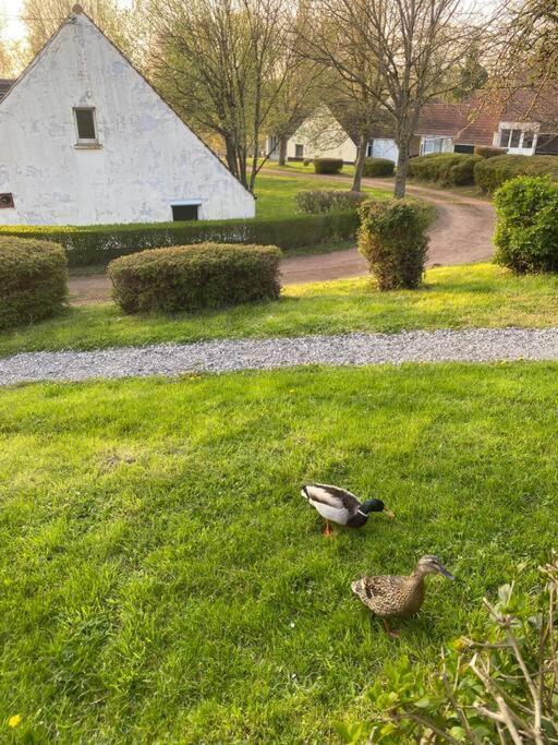 Ferienwohnung Le Nid Du Cygne Houlle Exterior foto